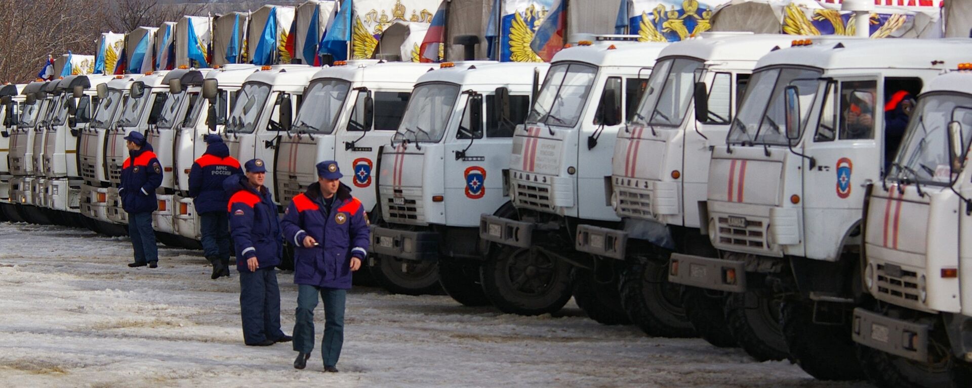 俄罗斯自2月起向顿巴斯和乌克兰提供近170个车队的人道主义救援物资 - 俄罗斯卫星通讯社, 1920, 22.04.2022