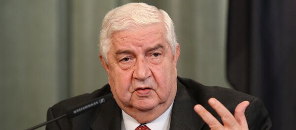 敘利亞外長瓦立德∙穆阿利姆 敘利亞外長瓦立德∙穆阿利姆 - 俄羅斯衛星通訊社