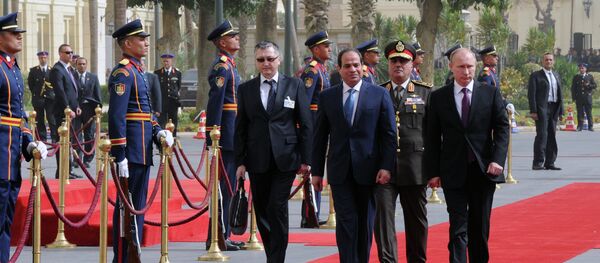 莫斯科希望，叙利亚各方将举行可调节叙冲突的谈判——普京 - 俄罗斯卫星通讯社