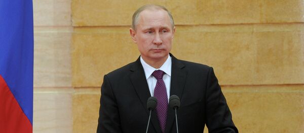 普京：俄罗斯不仅要在埃及建核电站，而是要建立完整的核工业 - 俄罗斯卫星通讯社