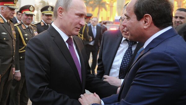 埃及總統與普京通話討論反恐合作 - 俄羅斯衛星通訊社
