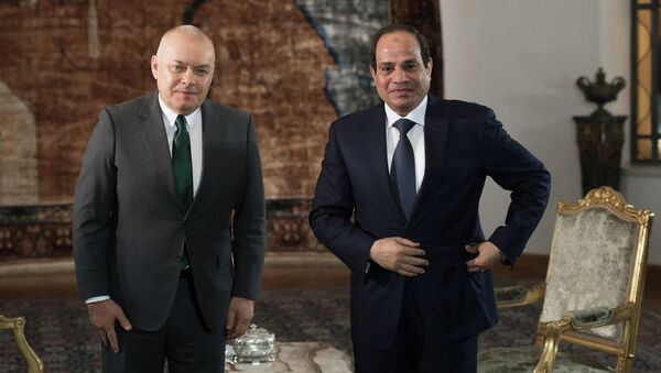 埃及總統：我們希望俄羅斯朋友援建核電站 - 俄羅斯衛星通訊社