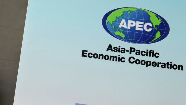 A paramilitary policeman stands guard next to a banner bearing a logo of APEC during the opening of the 2014 APEC Concluding Senior Officials' Meeting, at the China National Convention Centre, in Beijing, November 5, 2014. - 俄羅斯衛星通訊社