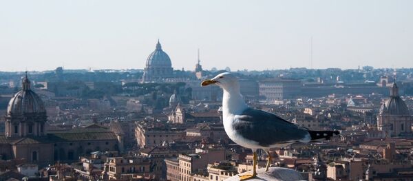 意內政部：近60%意大利人在全民公投中不支持憲法改革 - 俄羅斯衛星通訊社