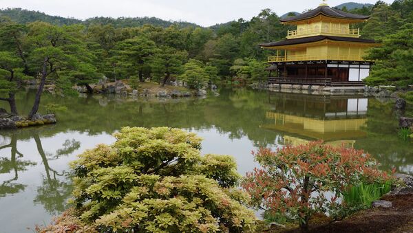 世界上最適合留學的9個浪漫之處 - 俄羅斯衛星通訊社