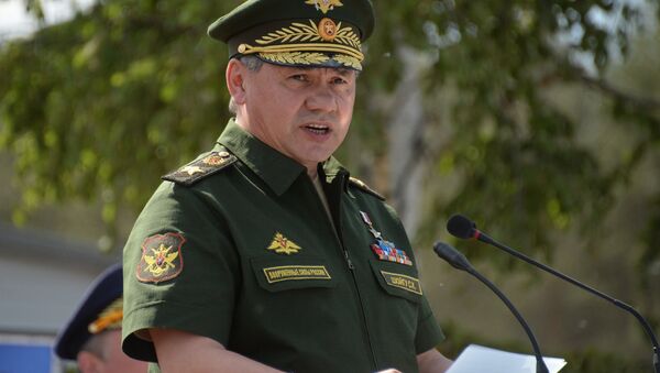 俄防長：俄羅斯-古巴軍事及軍事技術關係正在建設性發展 - 俄羅斯衛星通訊社