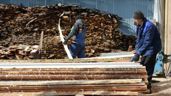 新加坡公司拟在俄滨海边疆区投资2亿美元建木材加工企业 - 俄罗斯卫星通讯社