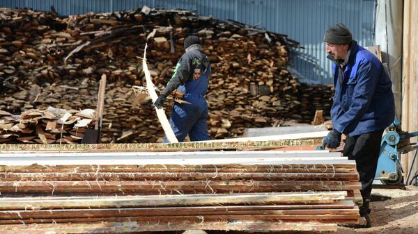 俄罗斯2023年对友好国家的木材出口额为40亿美元，最大买家是中国