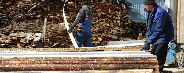 黑龙江松林公司将在俄投资建设木材加工厂 - 俄罗斯卫星通讯社