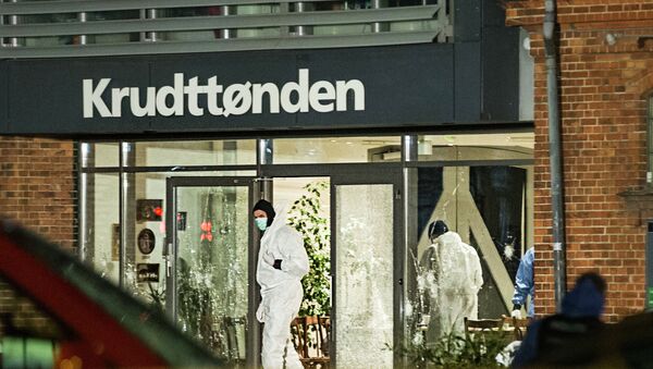 根本哈根警察在地铁站旁射杀了一名男子 - 俄罗斯卫星通讯社