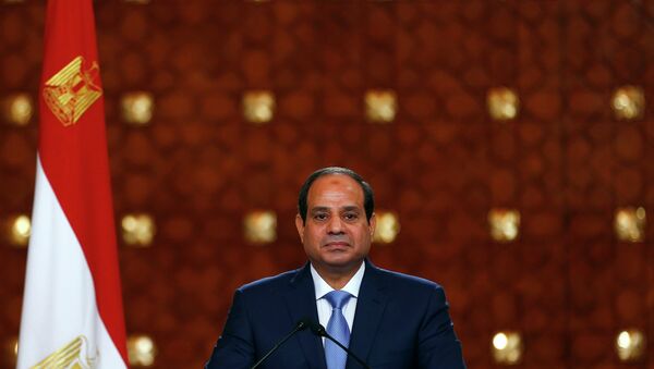 媒体：埃及总统调任11省省长 - 俄罗斯卫星通讯社
