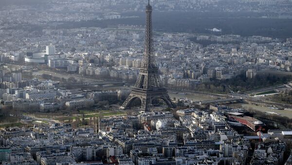 媒体：在巴黎上空又一次发现多个无人机 - 俄罗斯卫星通讯社