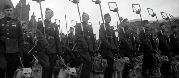 四條腿的戰士 - 俄羅斯衛星通訊社