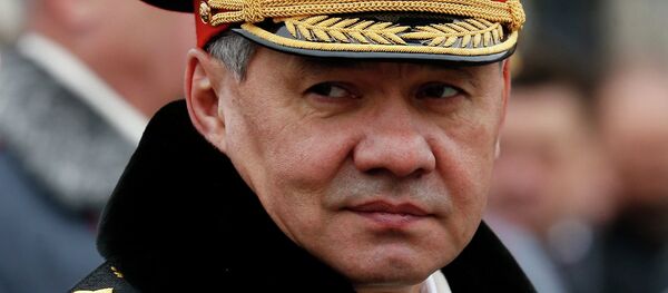 谢尔盖∙绍伊古 - 俄罗斯卫星通讯社