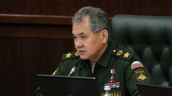 俄国防部：绍伊古与三国高官讨论阿勒颇问题 - 俄罗斯卫星通讯社