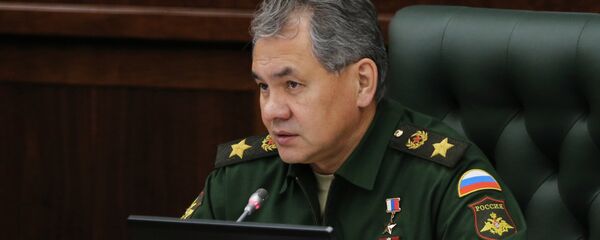 谢尔盖∙绍伊古 谢尔盖∙绍伊古 - 俄罗斯卫星通讯社