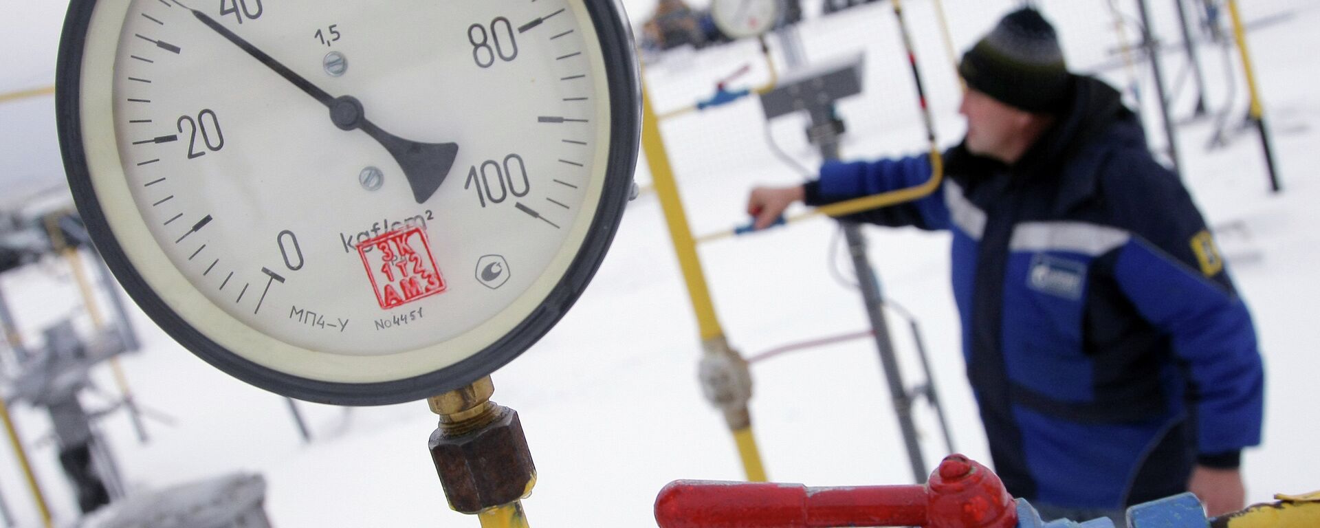 中石油敦促增加俄对华天然气供应 - 俄罗斯卫星通讯社, 1920, 29.11.2022