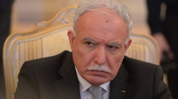 巴勒斯坦外長：中巴兩國外長27日將商討巴以局勢解決問題 - 俄羅斯衛星通訊社