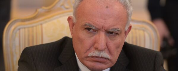 巴勒斯坦外长：中巴两国外长27日将商讨巴以局势解决问题 - 俄罗斯卫星通讯社