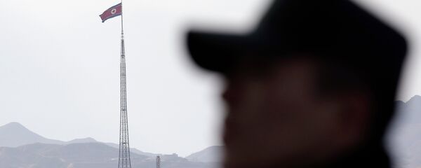 俄專家:金正恩不願步卡扎菲和薩達姆的後塵 俄專家:金正恩不願步卡扎菲和薩達姆的後塵 - 俄羅斯衛星通訊社