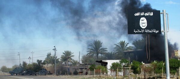 伊拉克军队采取行动从“伊斯兰国”手中解放提克里特 - 俄罗斯卫星通讯社