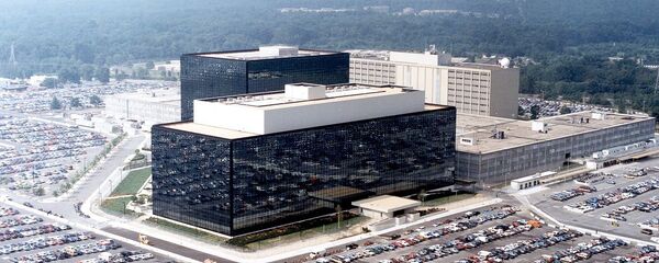 美国国安局的间谍软件不比“谷歌搜索”复杂 - 俄罗斯卫星通讯社