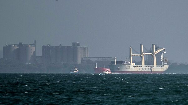 中国外交部回应哥伦比亚扣中国载军品船只称不违法 - 俄罗斯卫星通讯社