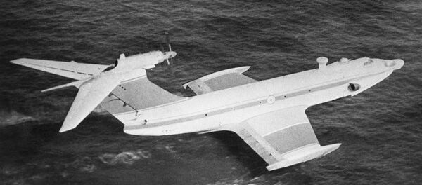 俄罗斯“小鹰”号地效飞行器。该飞行器由苏联和美国专家研制。 - 俄罗斯卫星通讯社