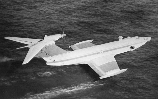 俄罗斯“小鹰”号地效飞行器。该飞行器由苏联和美国专家研制。 - 俄罗斯卫星通讯社