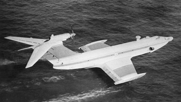 俄罗斯“小鹰”号地效飞行器。该飞行器由苏联和美国专家研制。 - 俄罗斯卫星通讯社