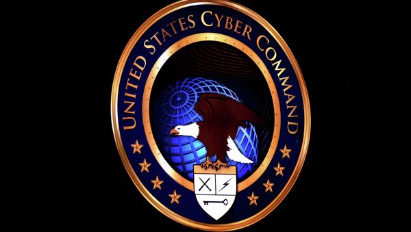 媒體：美國軍方對Trickbot僵屍網絡採取行動 以保護選舉 - 俄羅斯衛星通訊社