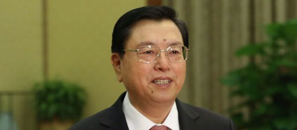 中国人大常委会委员长：金砖国家应力图建立统一市场 - 俄罗斯卫星通讯社