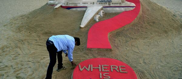 媒體：馬來西亞當局應考慮關於搜尋五年前失蹤的“波音”客機的任何建議 - 俄羅斯衛星通訊社