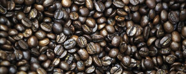 咖啡豆 - 俄罗斯卫星通讯社