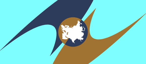 歐亞經濟聯盟對與“一帶一路”的對接速度感到滿意 - 俄羅斯衛星通訊社