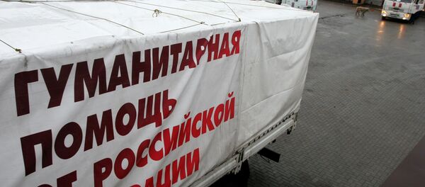 联合国专员认为俄罗斯在向乌克兰提供人道主义援助方面做得很好 - 俄罗斯卫星通讯社