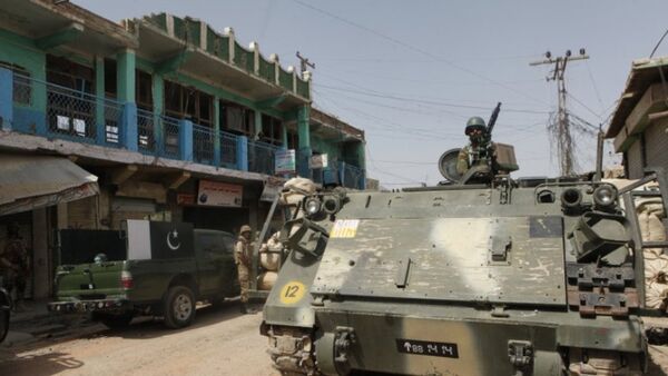 巴基斯坦  - 俄罗斯卫星通讯社