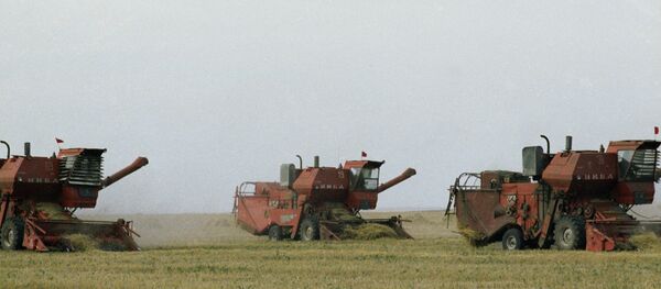 俄遠東土地免費配發政策或吸引3千萬人移居 - 俄羅斯衛星通訊社