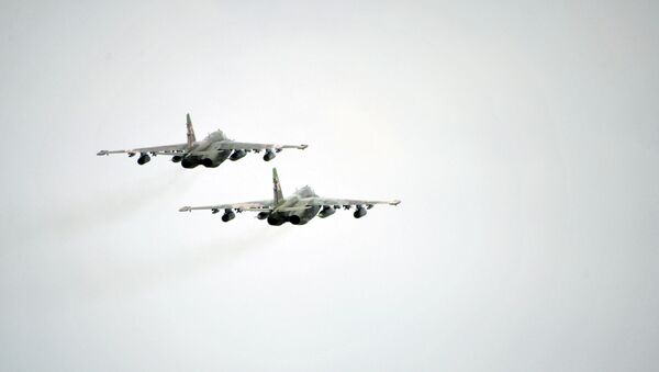 俄军事专家：俄方将向叙派遣40至60架战机 - 俄罗斯卫星通讯社