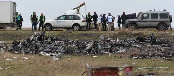 俄外交部：俄將爭取研究馬航客機在烏失事的所有可能性 - 俄羅斯衛星通訊社