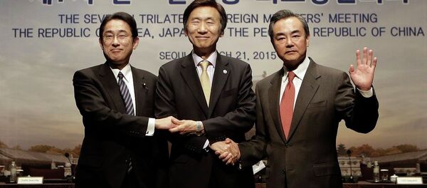 中日韓或在秋天舉行三邊峰會 中日韓或在秋天舉行三邊峰會 - 俄羅斯衛星通訊社