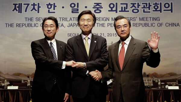 中日韩三国外长会晤在三年停滞后重启 - 俄罗斯卫星通讯社