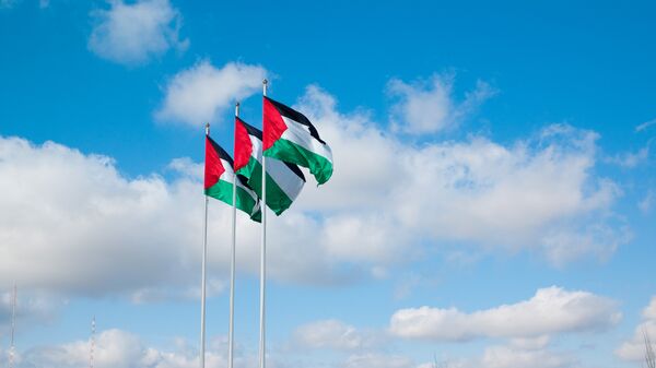 巴勒斯坦总统因杰宁事件宣布三日降半旗哀悼 - 俄罗斯卫星通讯社