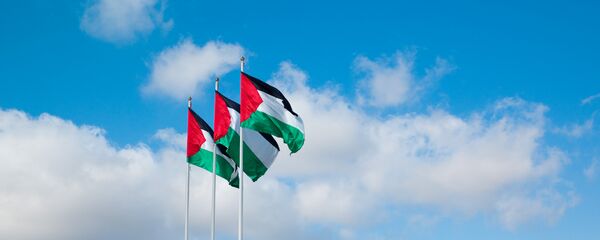 奥巴马认为自己与以总理对中东局势的看法存在本质性分歧 - 俄罗斯卫星通讯社