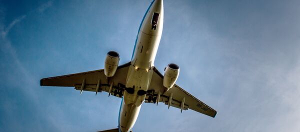 加拿大一名波音737机长因醉酒临飞前在驾驶舱睡着被捕 - 俄罗斯卫星通讯社