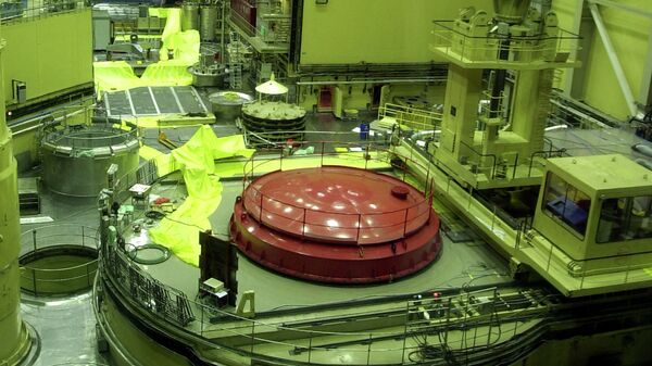 匈牙利与俄罗斯签署直接建设核电站文件 - 俄罗斯卫星通讯社