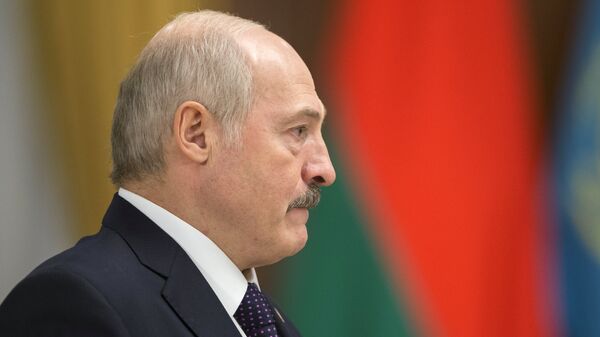 盧卡申科總統：白俄羅斯期待中國國家主席習近平五月出訪 - 俄羅斯衛星通訊社