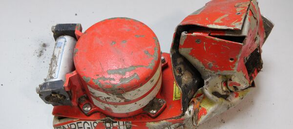 失事A320客機第二個黑匣子外殼在法國找到 失事A320客機第二個黑匣子外殼在法國找到 - 俄羅斯衛星通訊社