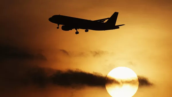 空客A320 - 俄羅斯衛星通訊社