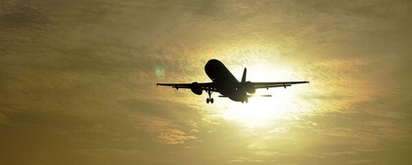 媒体：韩国130多趟航班将因大韩航空罢工被取消 - 俄罗斯卫星通讯社